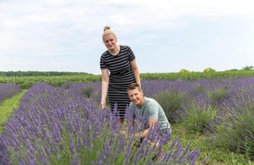 cache/resized/292cf1d56c4cef7e98bca5b10d72fa14.jpg